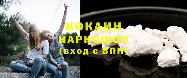 прущие грибы Балабаново