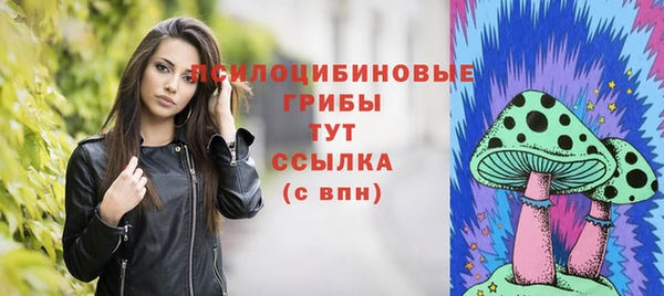 индика Баксан